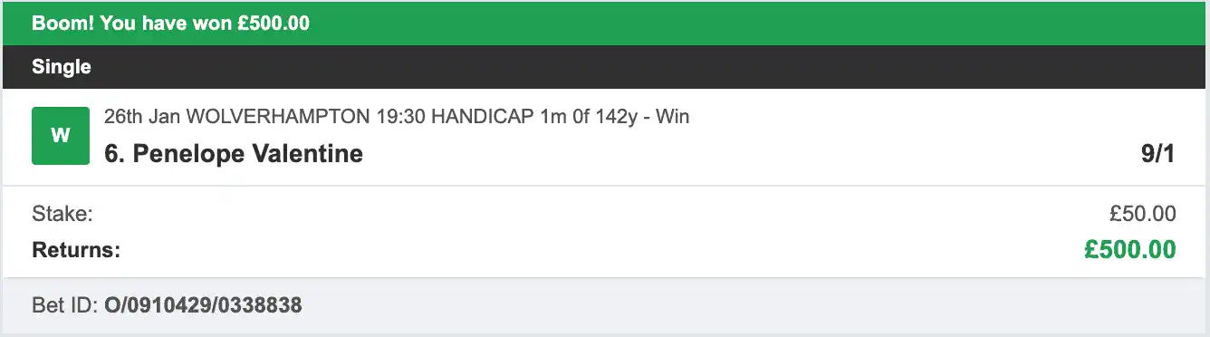 Horse Power Selections - Winner - 2026-01-26