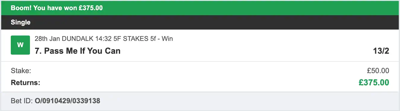 Horse Power Selections - Winner - 2026-01-28